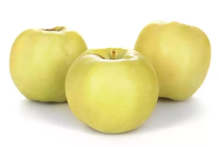 jabuke za liječenje proširenih vena