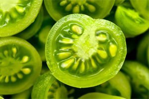 liječenje proširene vene zelene rajčice